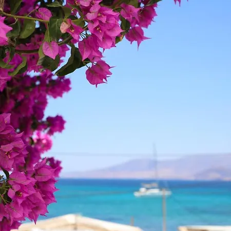 Gæstehus Sea Nymphs